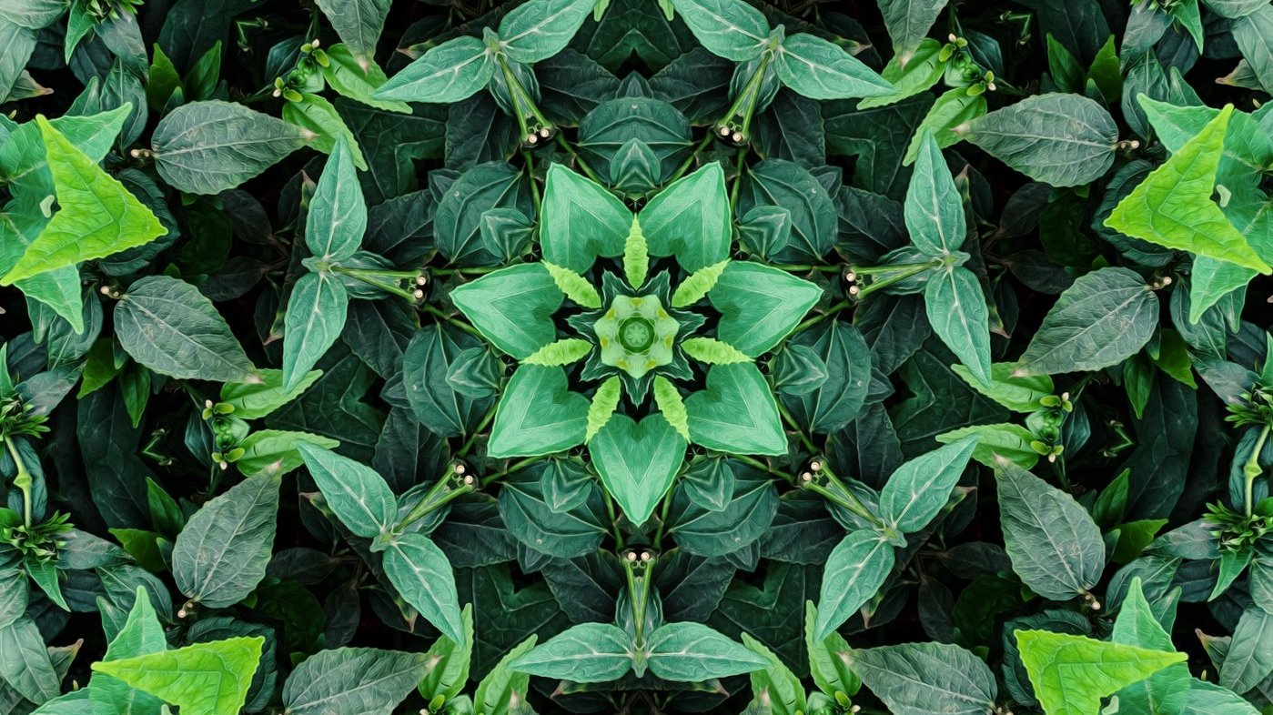 Symmetrin omkring dig