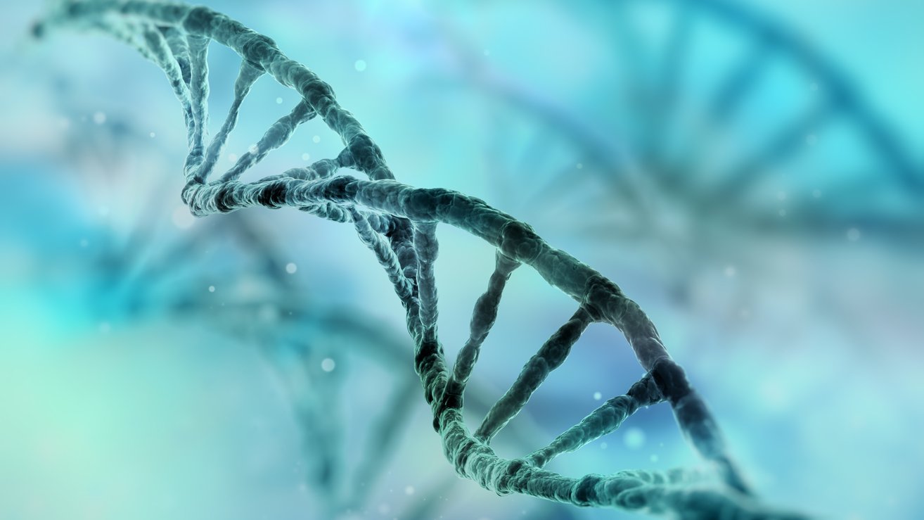 Biologi Nationella Prov åk 9