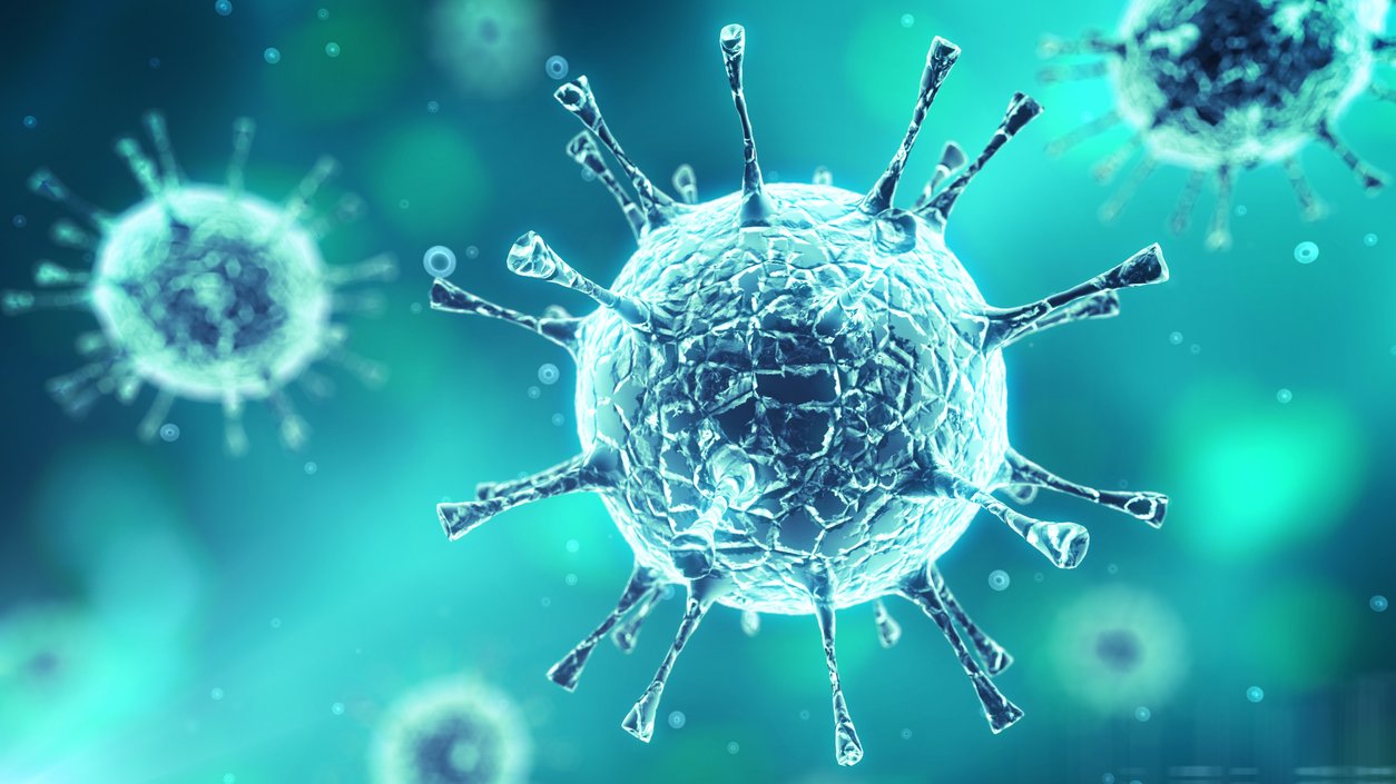 Biologi Nationella Prov åk 9
